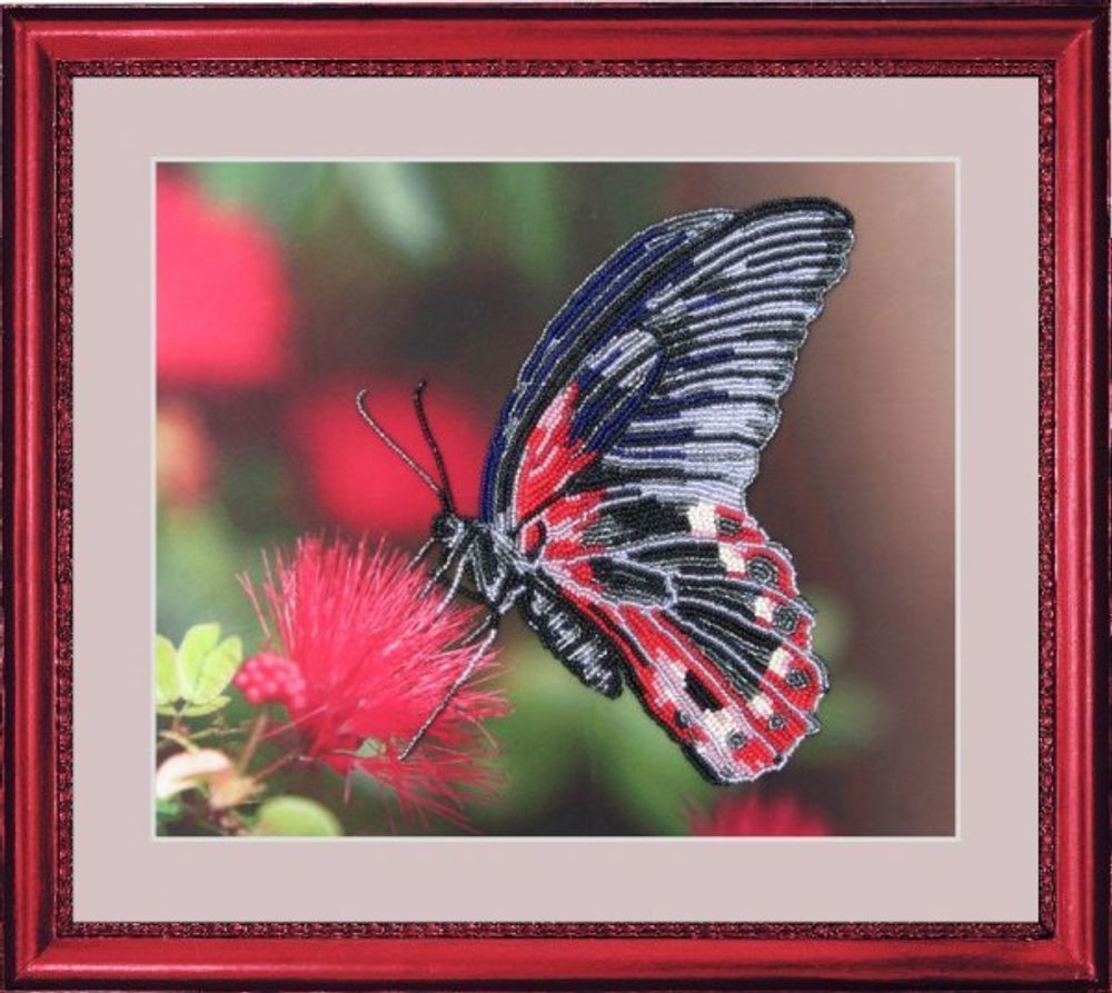 Butterfly, Бабочка 24х28 см
