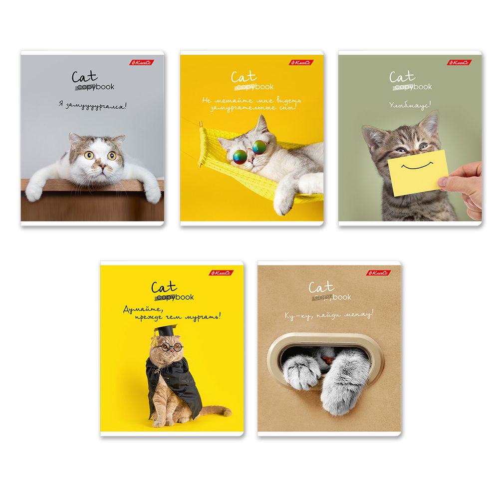 Тетрадь ученическая общая, A5+ 96 л. на скобе 60 г/м², белизна 100%, 5 шт, клетка в термоусадочной пленке, 000790 Улыбмяус, Светоч 96ТЕТк-001