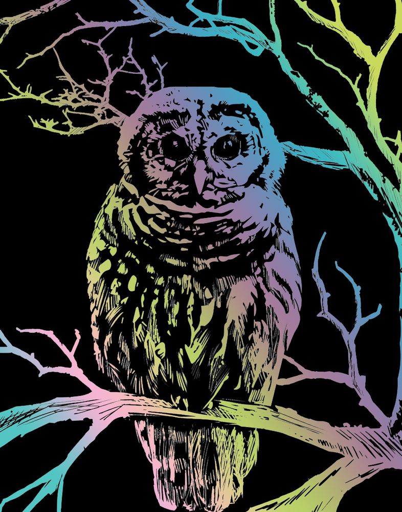 Набор для творчества Гравюра 20х25.5 см, №34 Сова (мульти), Hobbius SGHK