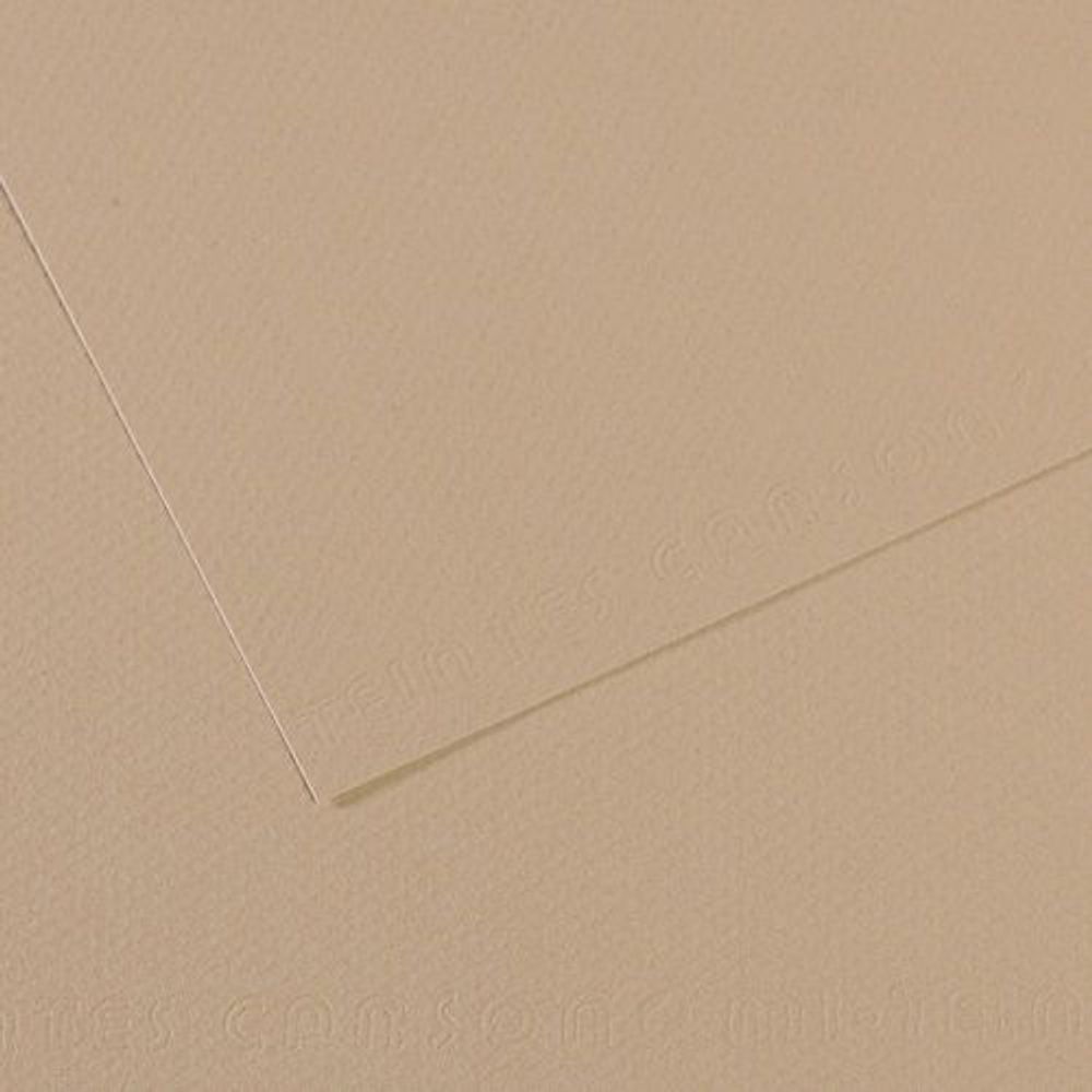 Бумага для пастели Mi-Teintes 160 г/м², 50х65 см, 10 л, №343 Серо-бежевый, Canson, C31032S099