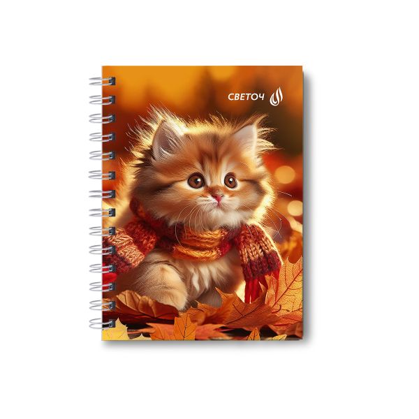 Записная книжка с твердым переплетом, глянцевая ламинация, на гребне A6 80 л. 4 шт клетка, Осенние модники 01588, ЗК221 Светоч