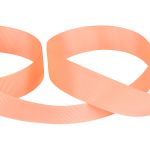 Лента репсовая нарезка 25.0 мм / 5 шт по 5.4 метра, 044 оранжевый, Gamma GR-25