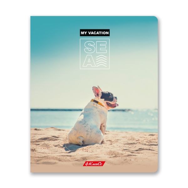 Тетрадь ученическая общая, глянцевая ламинация, A5+ 96 л. на скобе, белизна 100%, 5 шт, клетка, 000348 Вокруг света, Светоч 96ТСК5_3_3_1