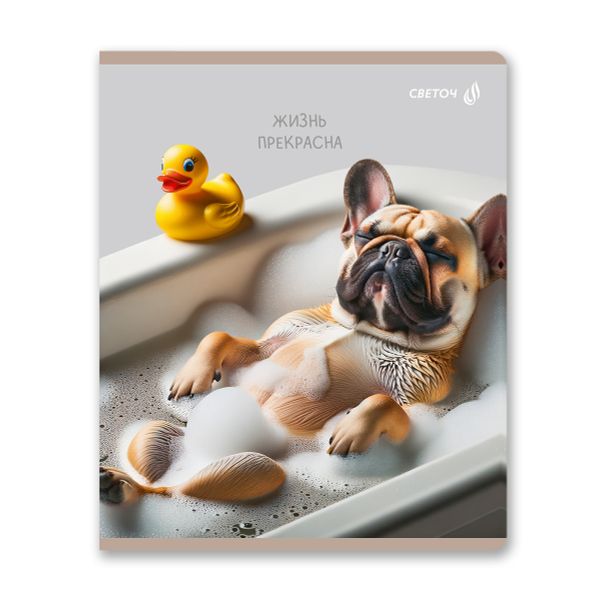 Тетрадь ученическая общая, глянцевая ламинация A5 80 л. на скобе 65 г/м², белизна 100% 5 шт клетка, 01527 Жизнь хороша!, Светоч Т203