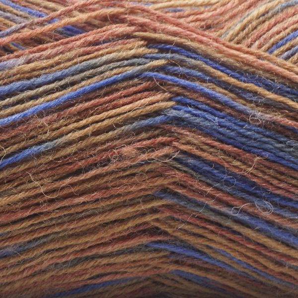 Пряжа Astra Premium (Астра Премиум) Карелия носочная (Karelia sock) / уп.2 мот. по 100 г, 400 м, 1005