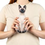 Набор для шитья игрушки Кот сиамский 13.9х27.9 см, Miadolla IAS-017