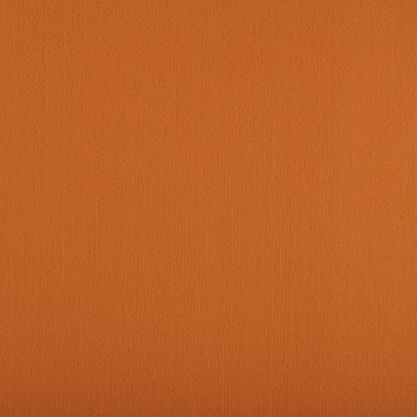 Фетр рулонный мягкий 1.5 мм, 110 см, рул. 30 метров, (FKS15), ST-07 оранжевый, Gamma