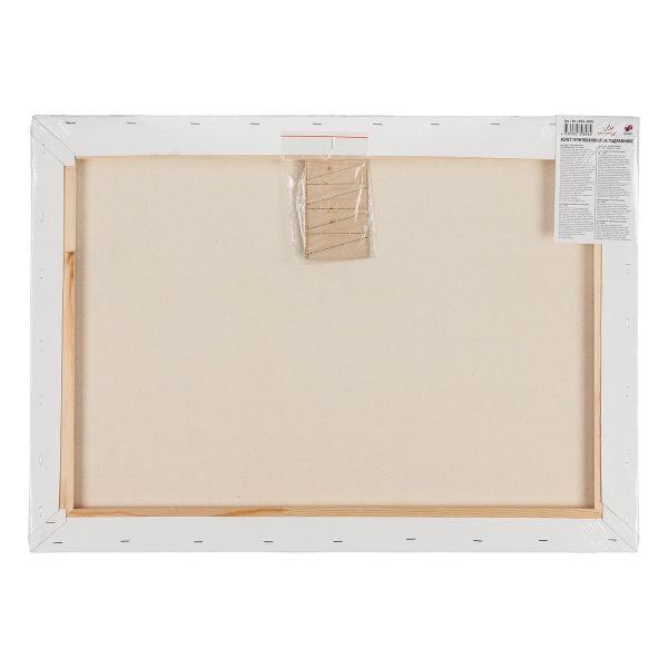 Холст грунтованный на подрамнике 50х70 см, 320 г/м², 2 шт, Плещеевский мелкозернистый, Vista-Artista ACFG-5070