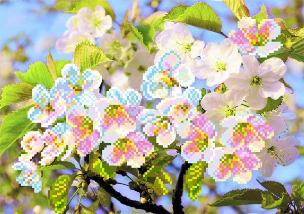 Рисунок на шелке Матренин Посад 28х34 - 4080 Ветка вишни