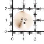 Пуговицы 4 прокола 28L=18 мм, пластик, col. C Молочный, 72 шт, CN2836