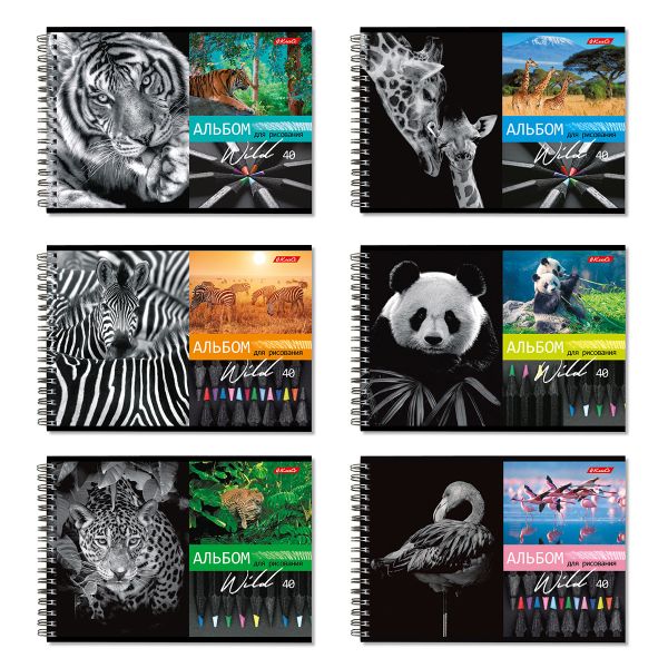 Альбом для рисования, 100 г/м², A4 29х20.5 см, на гребне 40 л., 6 шт, 40АЛГР4_000244 Саванна, Светоч