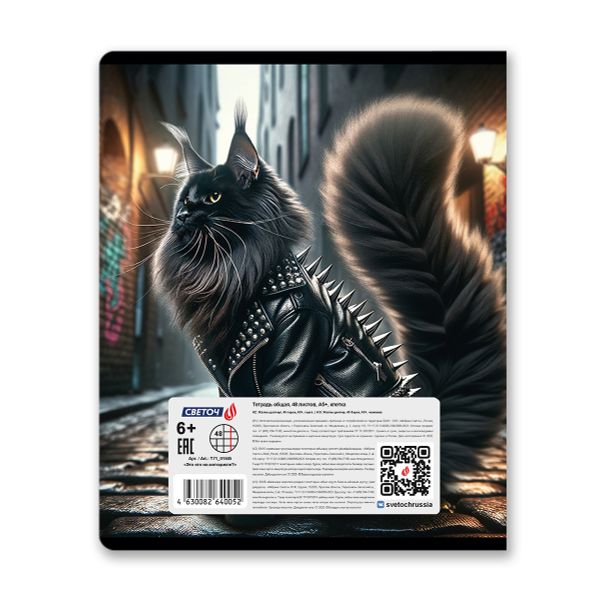 Тетрадь ученическая общая, глянцевая ламинация A5 48 л. на скобе 65 г/м², белизна 100% 10 шт клетка, 01505 Это кто на мотоцикле?, Светоч Т71