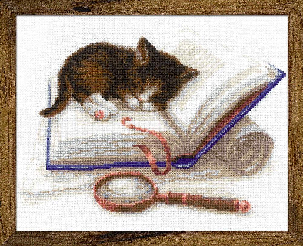 Набор для вышивания нитками Риолис, Котенок на книжке 30х24 см