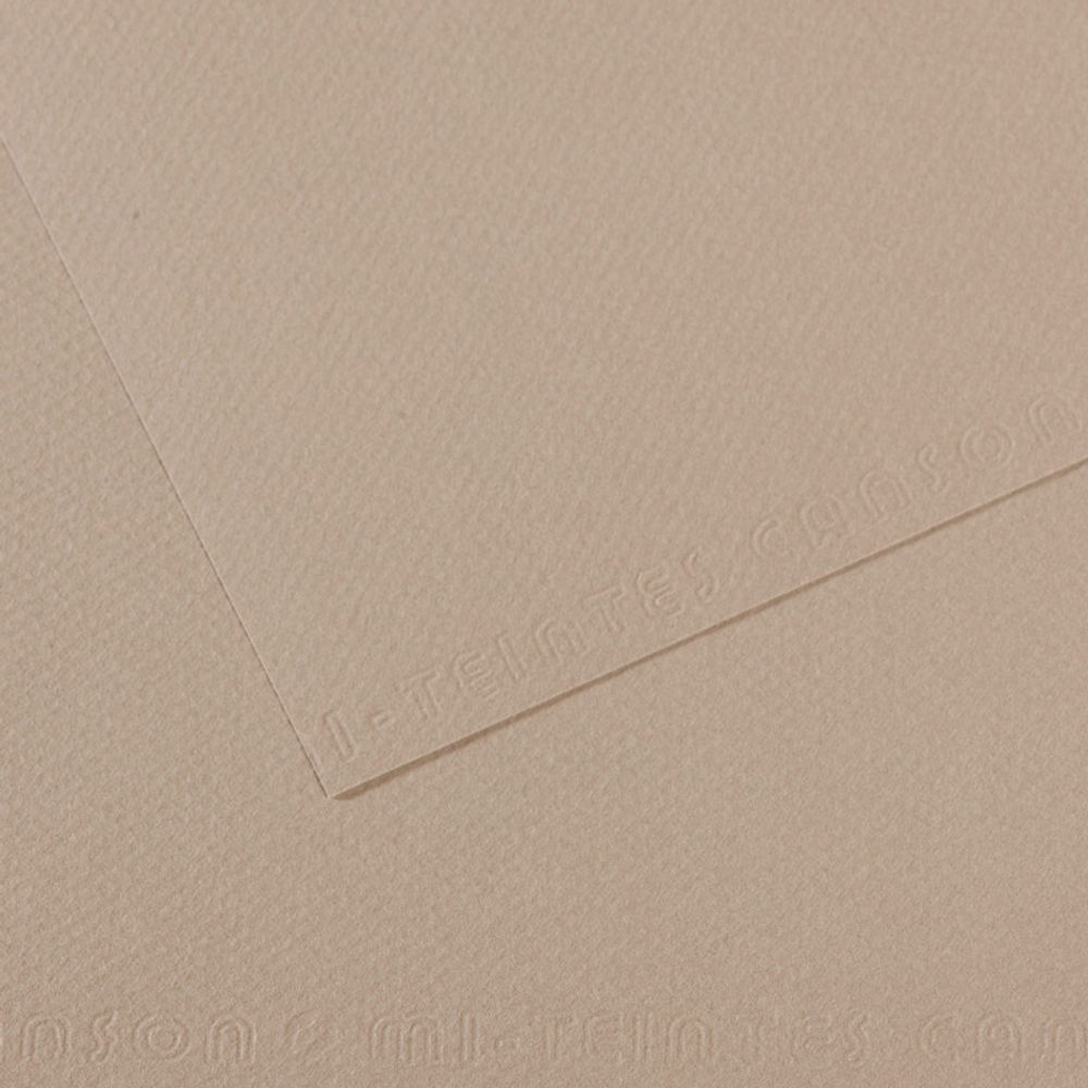 Бумага для пастели Mi-Teintes 160 г/м², 75х110 см, 10 л, №122 Серая фланель, Canson, C31032S160