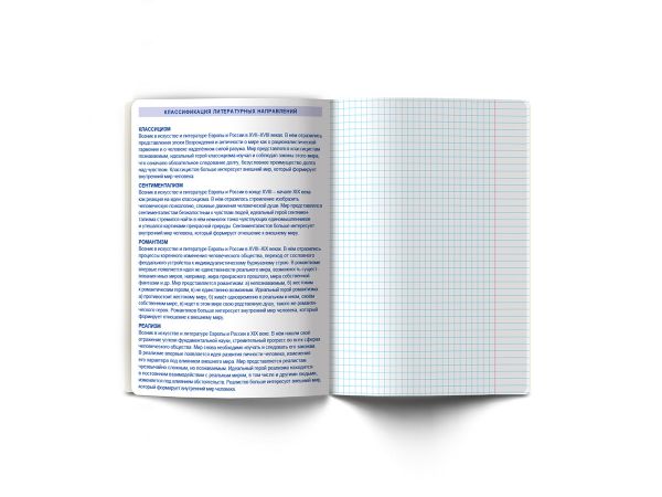 Тетрадь со справочным материалом Линия успеха, софт тач ламинация + тиснение фольгой, A5+ 48 л. на скобе 65 г/м², белизна 100%, 10 шт, линия, 000576 Литература, Светоч 48ТПСК5_126_2_2