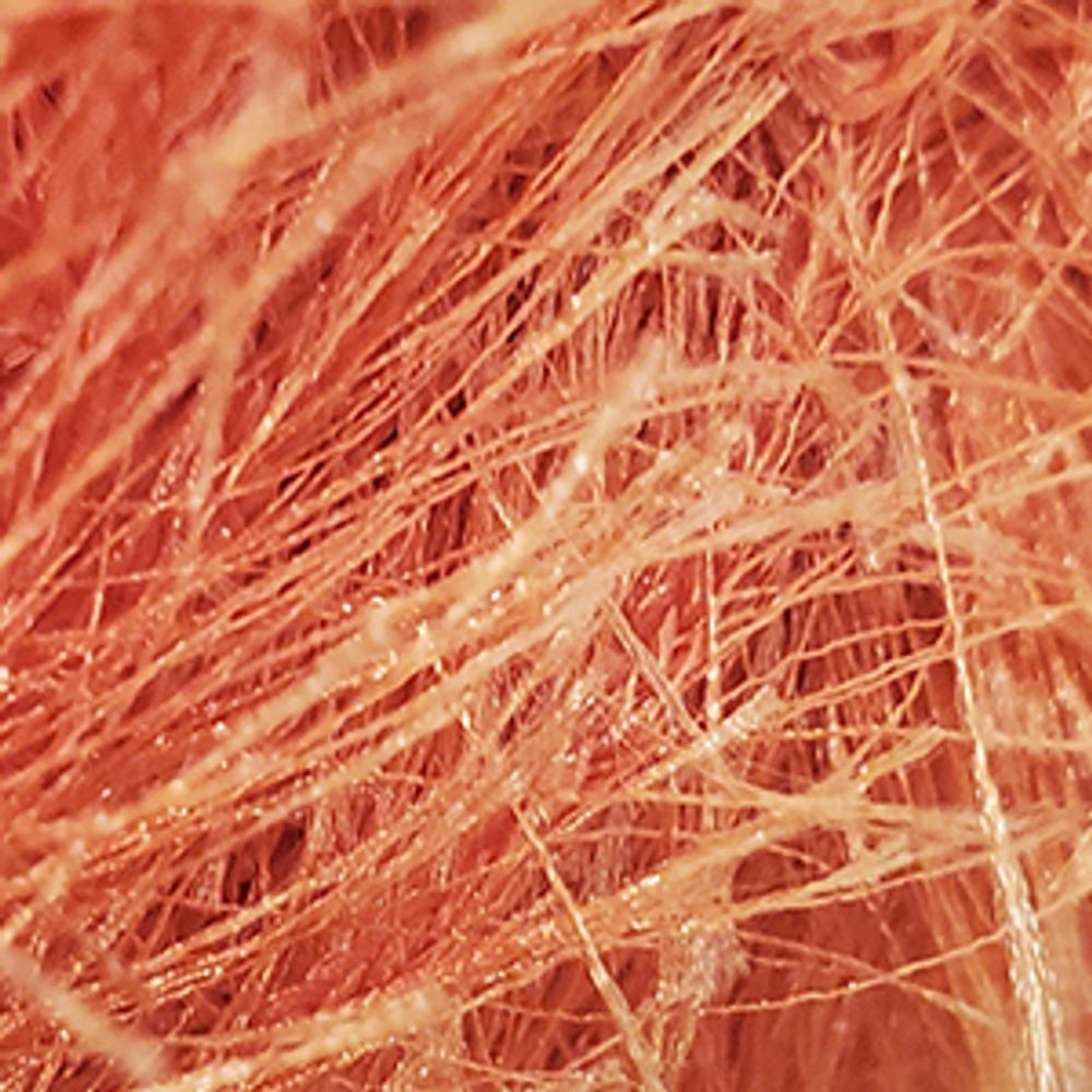 Пряжа Schachenmayr (Шахенмайер) Original Brazilia, 50г, 90м, 9801321, 01286, koralle, коралловый (розовато-оранжевый) /стоковый цвет/