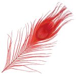 Перо павлина декоративное 25-30см, 10 штук (красный), AR204-2