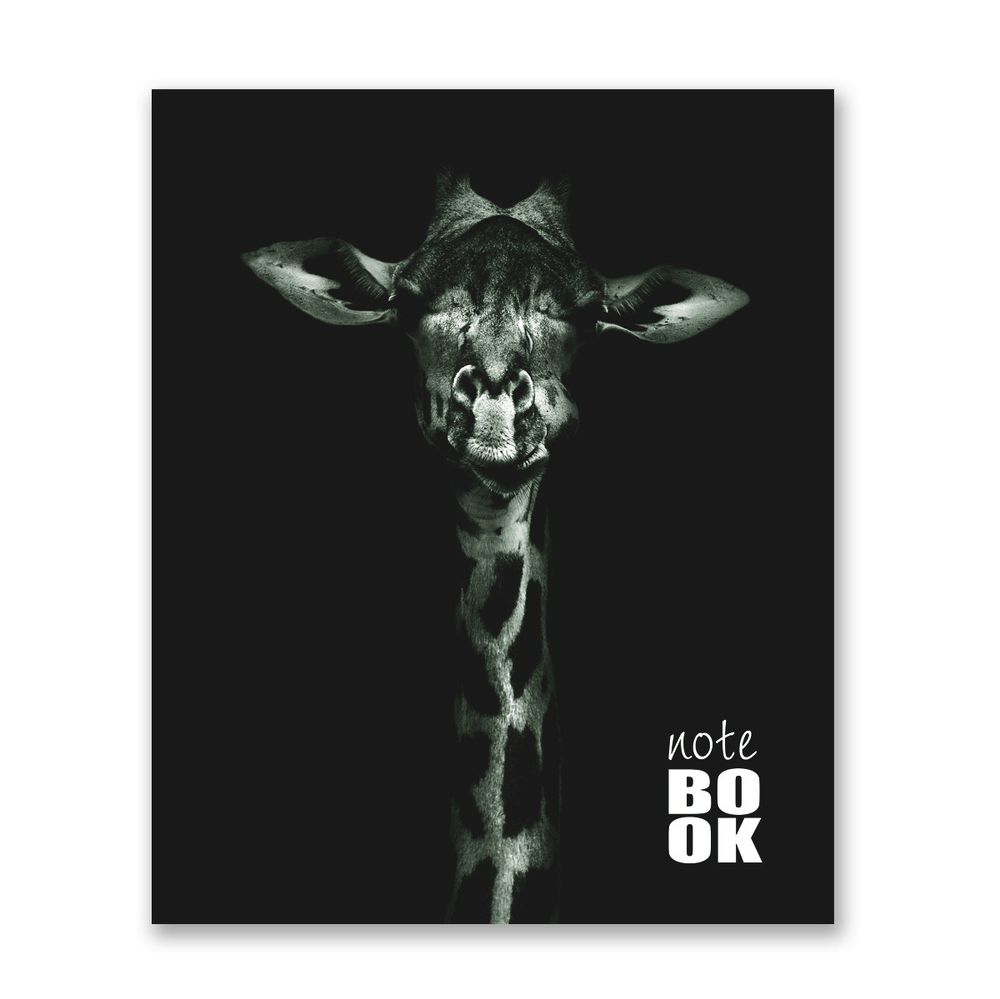 Бизнес-блокнот, матовая ламинация, A5+ 80 л. 18 шт, клетка, Всё решится! 000423, Светоч 80ББТ5_2_5_1