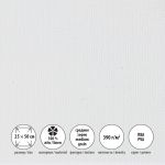 Холст грунтованный на подрамнике 25х50 см, 390 г/м², 2 шт, Залесский среднезернистый, Vista-Artista PLMG-2550