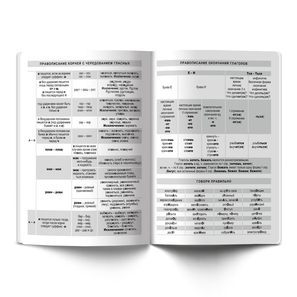 Тетрадь предметная На позитиве A5+ 40 л. на скобе, 10 шт, линия, Русский язык 40ТСК5 000098, Светоч