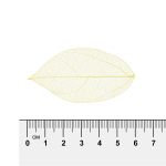 Листья скелетированные 2-6 см, 50 шт (5х10 шт), 02 желтый, Mr.Painter SFL-01