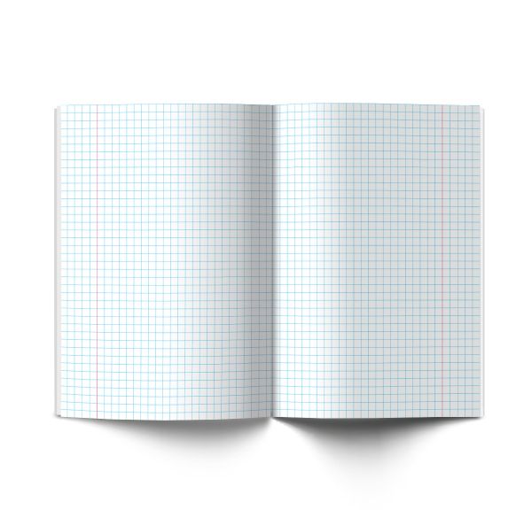 Тетрадь ученическая школьная, выборочные блестки, A5+ 18 л. на скобе, 20 шт, клетка, 000364 Лебёдушки, Светоч 18ТСКд5_5_3_1