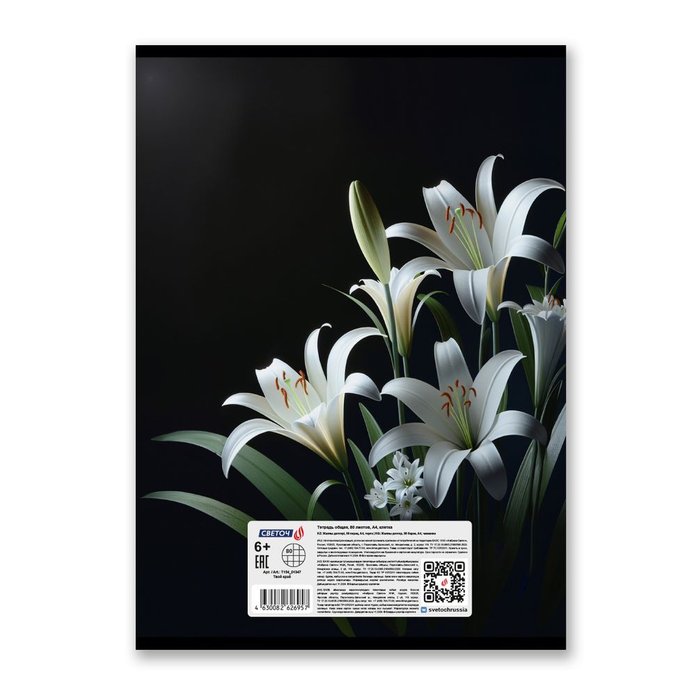 Тетрадь ученическая общая, A4 80 л. на скобе 65 г/м², белизна 100 %, 6 шт, клетка, 01347 Твой край, Светоч Т154