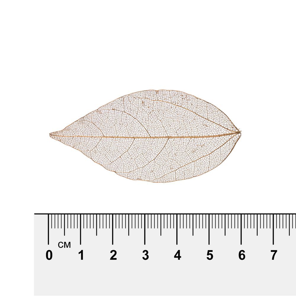 Листья скелетированные 2-6 см, 50 шт (5х10 шт), 04 золотистый, Mr.Painter SFL-01