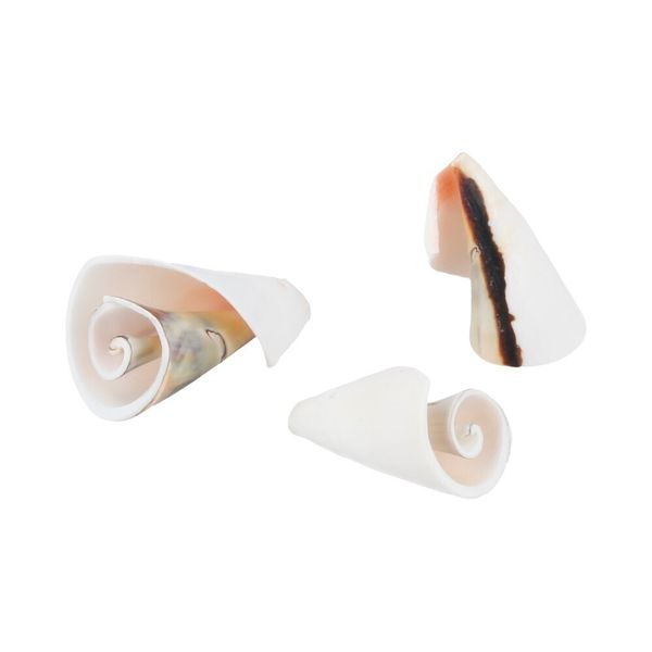 Ракушки декоративные 30х15 мм, 100 г (5х20 г), /РП/, №01 натуральный, Zlatka D20-09