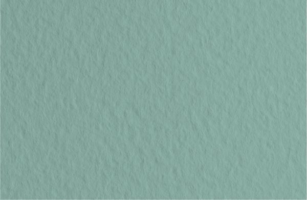 Бумага для пастели 160 г/м², 70х100 см, 10 листов, Salvia/т.шалфейный, Fabriano