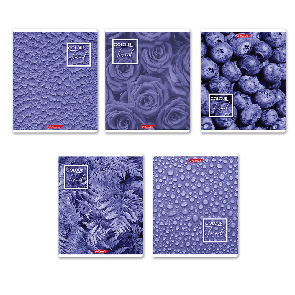 Тетрадь ученическая общая A5+ 48 л. на скобе, белизна 100%, 10 шт, клетка, 000308 Черничный рай, Светоч 48ТСК5_1_3_1