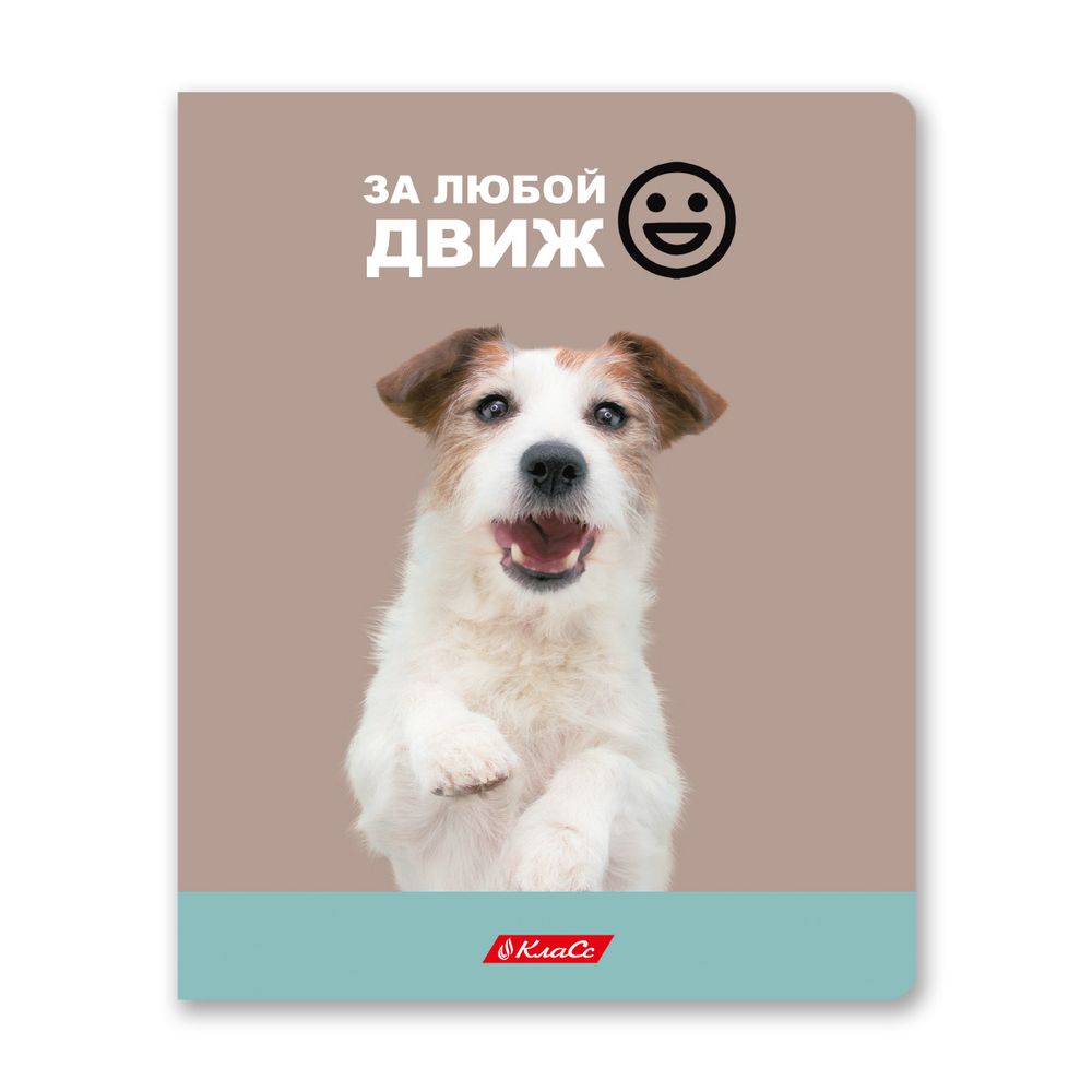 Тетрадь ученическая общая, A5+ 48 л. на скобе, белизна 100%, 10 шт, клетка, 000334 Ужасно милые, Светоч 48ТСК5_3_1