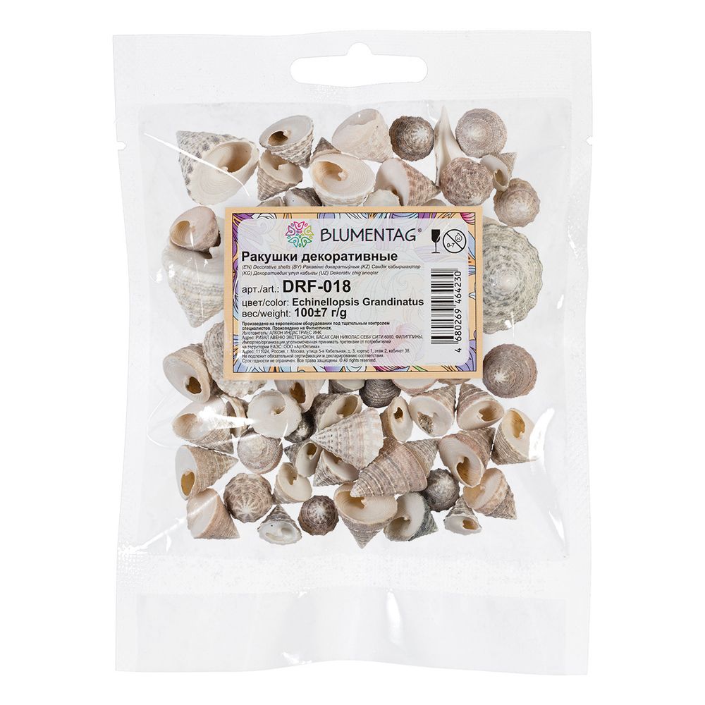 Ракушки декоративные 100 г, ± 7 г, 2.5 см, Echinellopsis Grandinatus, Zlatka DRF-018