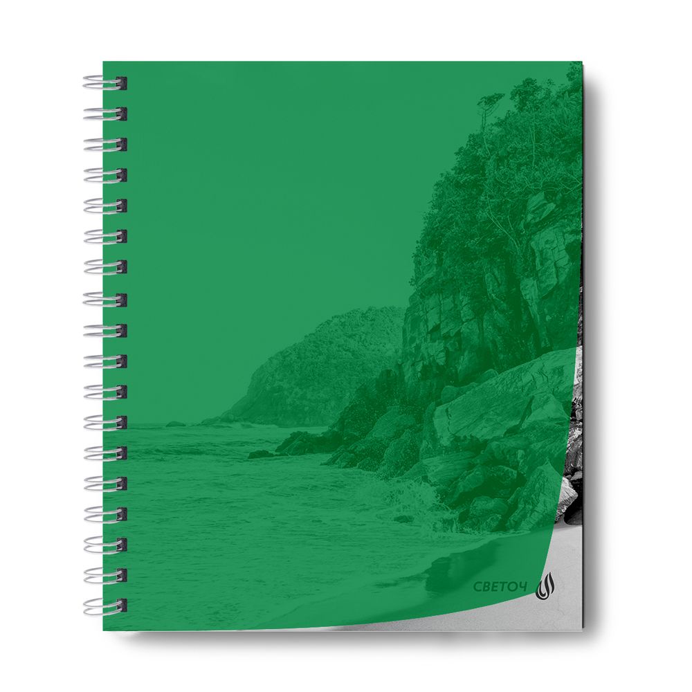 Тетрадь общая с пластик. обложкой, ч/б запечат. титульн.лист, 180 мкм, A5 48 л. на гребне 65 г/м², белизна 100% 4 шт клетка, 01548 Утренний пейзаж, зелёная, Светоч Т208