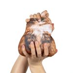 Набор для шитья игрушки Кот мейн-кун 14.3х23.1 см, Miadolla IAS-015