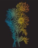 Набор для творчества Гравюра №61 Астры, 20х25.5 см, Hobbius SGHK