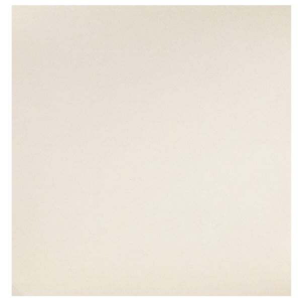 Бумага для скрапбукинга 180 гр/м², 30.5х30.5 см, 10 шт, (230)006 Ориентал, Mr.Painter PSW