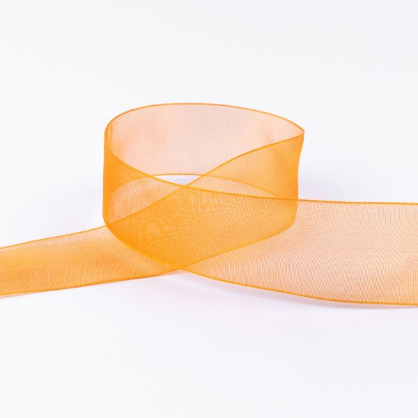 Лента капроновая (органза) 25.0 мм / 22.8±1 метра, 103 коричневый, Blitz OR-25