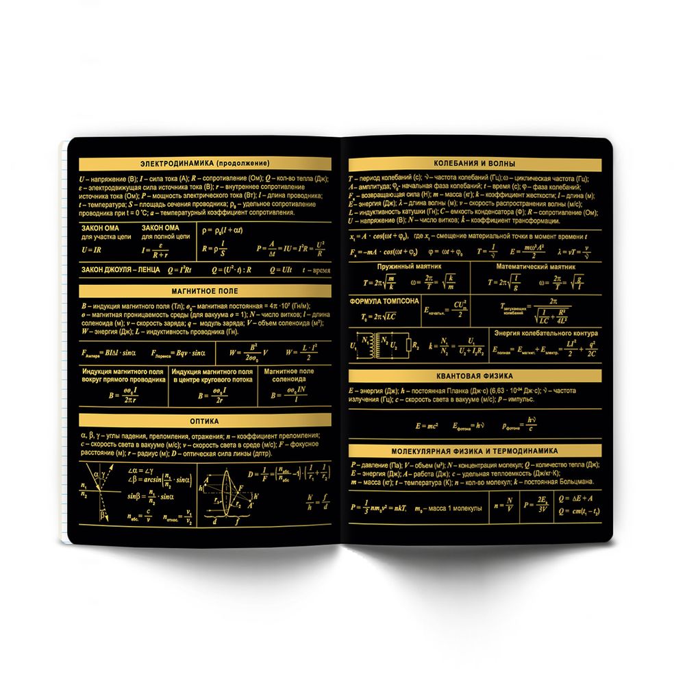 Тетрадь со справочным материалом Золотая коллекция, тиснение золотой фольгой, A5+ 48 л. на скобе 65 г/м², белизна 100 %, 10 шт, клетка, 01330 Золотая коллекция Физика, Светоч Т145