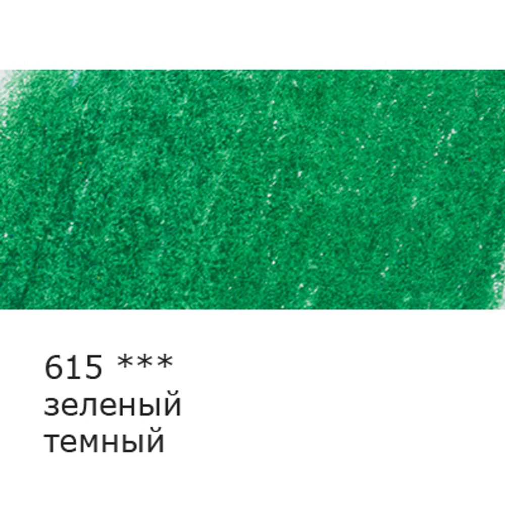 Карандаш цветной заточенный, 6 шт, 615 зеленый темный, Vista-Artista INTENSE VICP