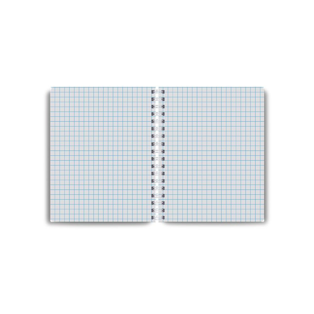 Записная книжка с твердым переплетом, глянцевая ламинация, на гребне A6 80 л. 4 шт клетка, Встреча на рассвете 01587, ЗК221 Светоч