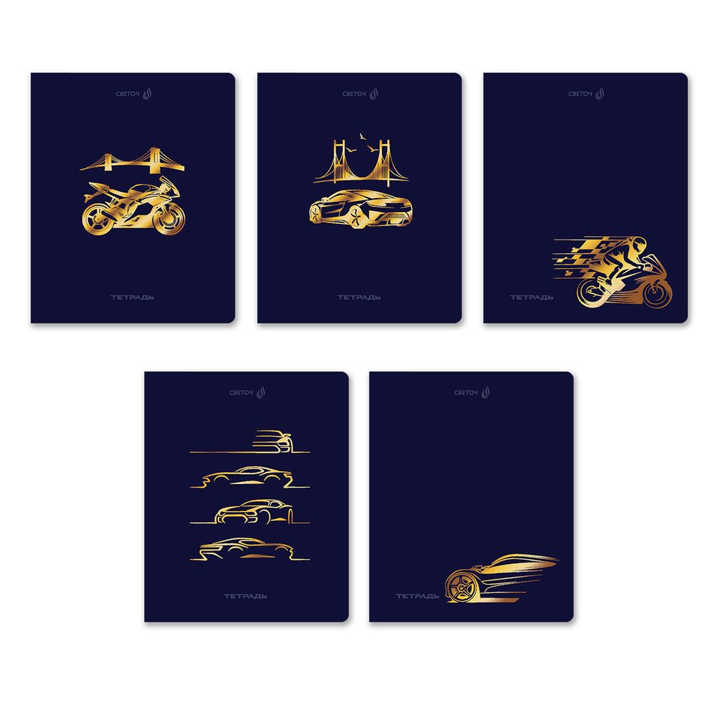 Тетрадь ученическая общая, тиснение золотой фольгой, A5 48 л. на скобе 65 г/м², белизна 100% 10 шт клетка, 01515 Со скоростью света, Светоч Т199