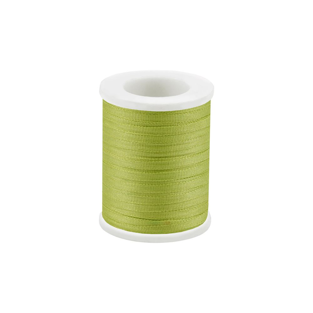 Лента (тесьма) шелковая 2.0 мм / 45.5±0.5 метров, №207 св.салатовый, Gamma SR-2