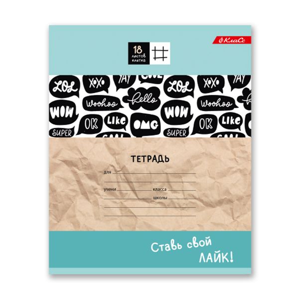 Тетрадь ученическая школьная A5+ 18 л. на скобе 65 г/м², белизна 100%, 20 шт, клетка, 000365 Всё получится, Светоч 18ТСКд5_1_3_1