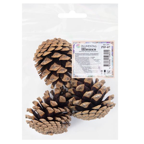 Шишки крымской сосны, 3 шт, 120 г, ± 10 г, 8 см, ± 2, 01, Blumentag PIF-07