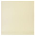 Бумага для скрапбукинга 180 гр/м², 30.5х30.5 см, 10 шт, (230)053 -Коричневый шарм, Mr.Painter PSW