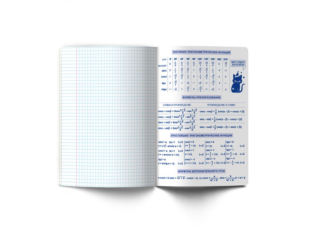Тетрадь со справочным материалом Ковен тайных знаний, A5+ 48 л. на скобе 65 г/м², белизна 100%, 10 шт, клетка, 00851 Алгебра, Светоч 48Т7