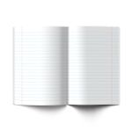 Тетрадь ученическая школьная A5+ 18 л. на скобе, белизна 100%, 20 шт, линия, 000371 Еноты, Светоч 18ТСКд5_1_3_2