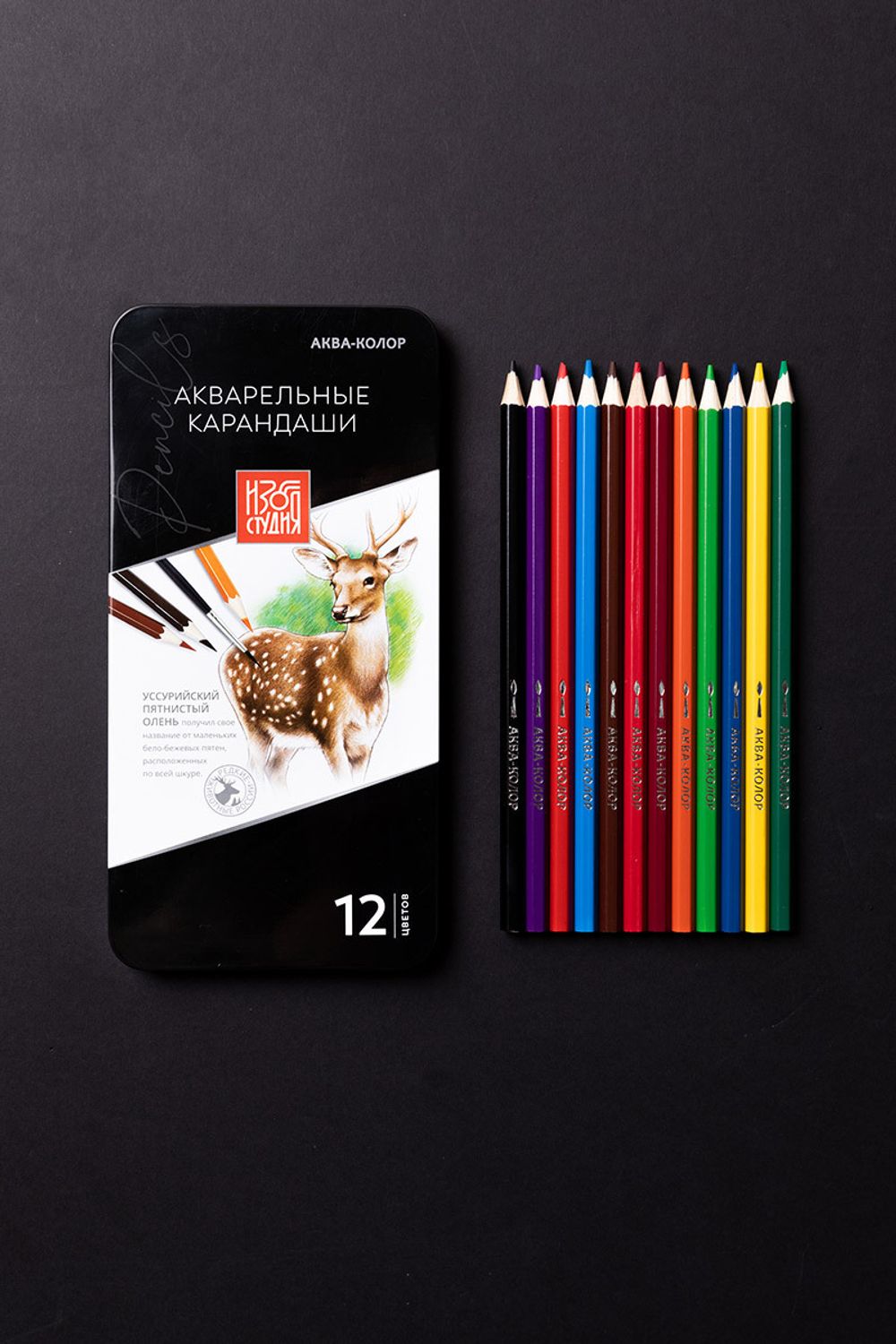 Карандаш акварельный в наборе заточенный 2х12 цв, в металлической коробке, Аква-колор
