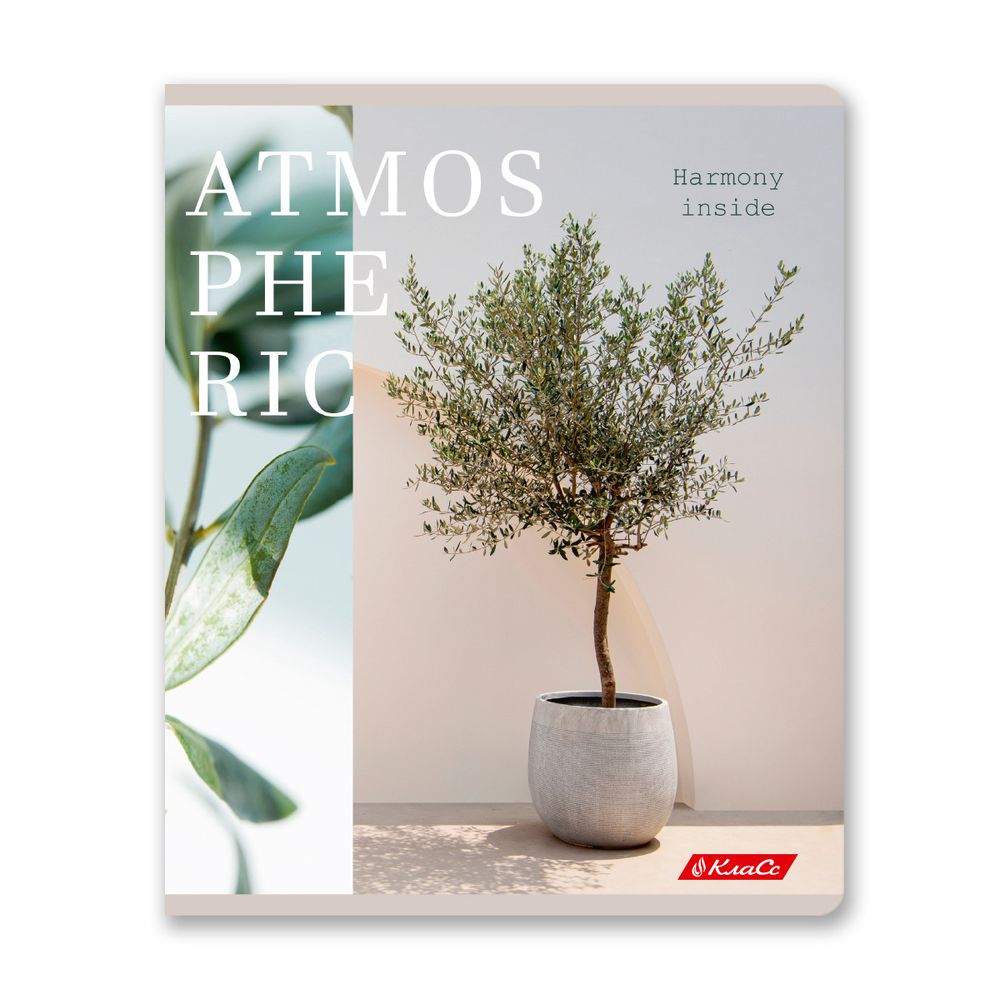 Тетрадь ученическая общая, A5+ 96 л. на скобе 60 г/м², белизна 100%, 5 шт, клетка в термоусадочной пленке, 000767 Атмосферная, Светоч 96ТЕТк-001